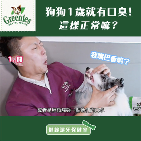 8岁狗狗牙周炎怎么办,狗狗好多牙结石怎么处理