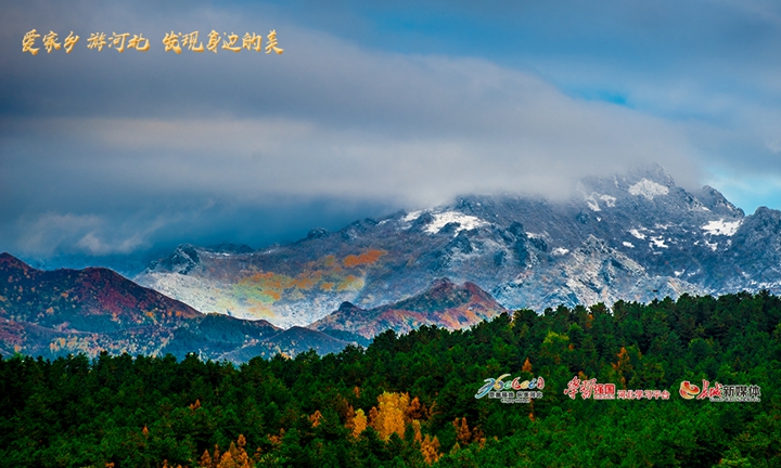 爱家乡河北,河北省著名旅游景点丰宁坝上草原