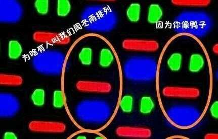 手机屏幕周冬雨排列是什么样的,周冬雨屏幕排列问题是啥意思