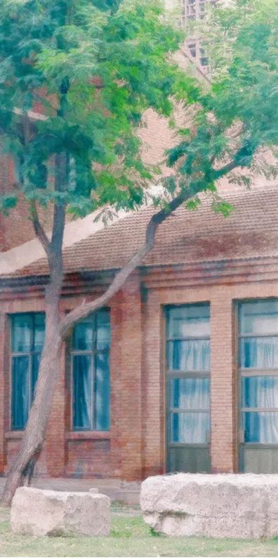 大海棠壁纸,大小海棠手机壁纸