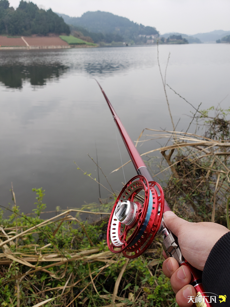 凤凰涅盘浴火重生对火的崇拜,凤凰涅盘浴火重生需要的是勇气