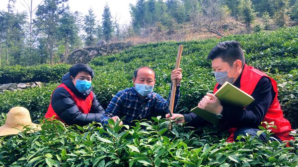 安徽金融活水加速流向中小微企业,金融活水流进田间地头