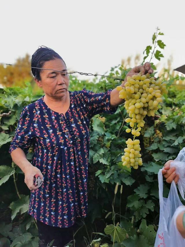 南北疆深度环线8日游,南北疆30天旅游攻略