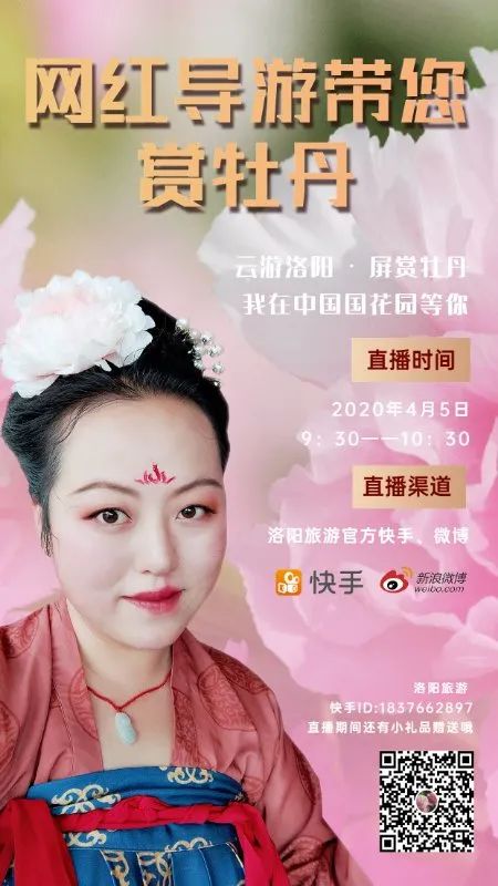 花都开好了来赏花,洛阳去哪里赏牡丹花