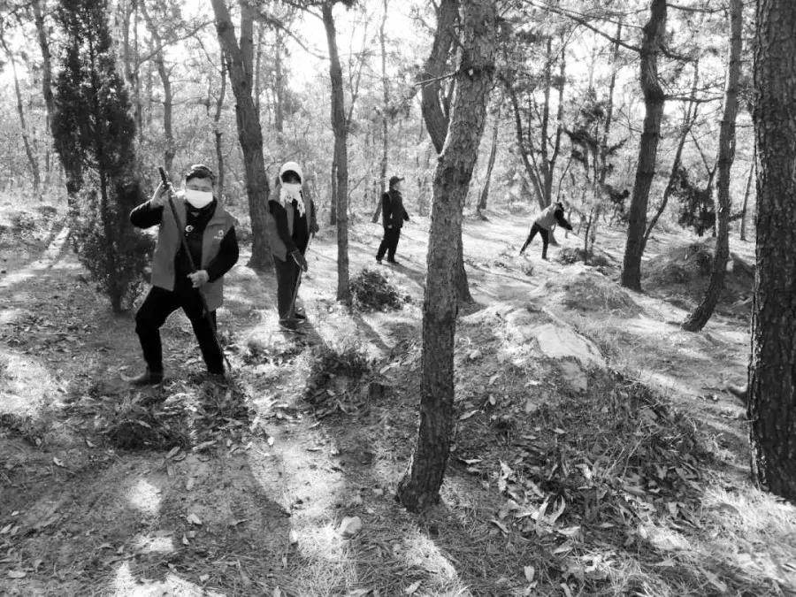 威海市开展清明节祭扫活动,别样清明一样情云上祭祀寄哀思