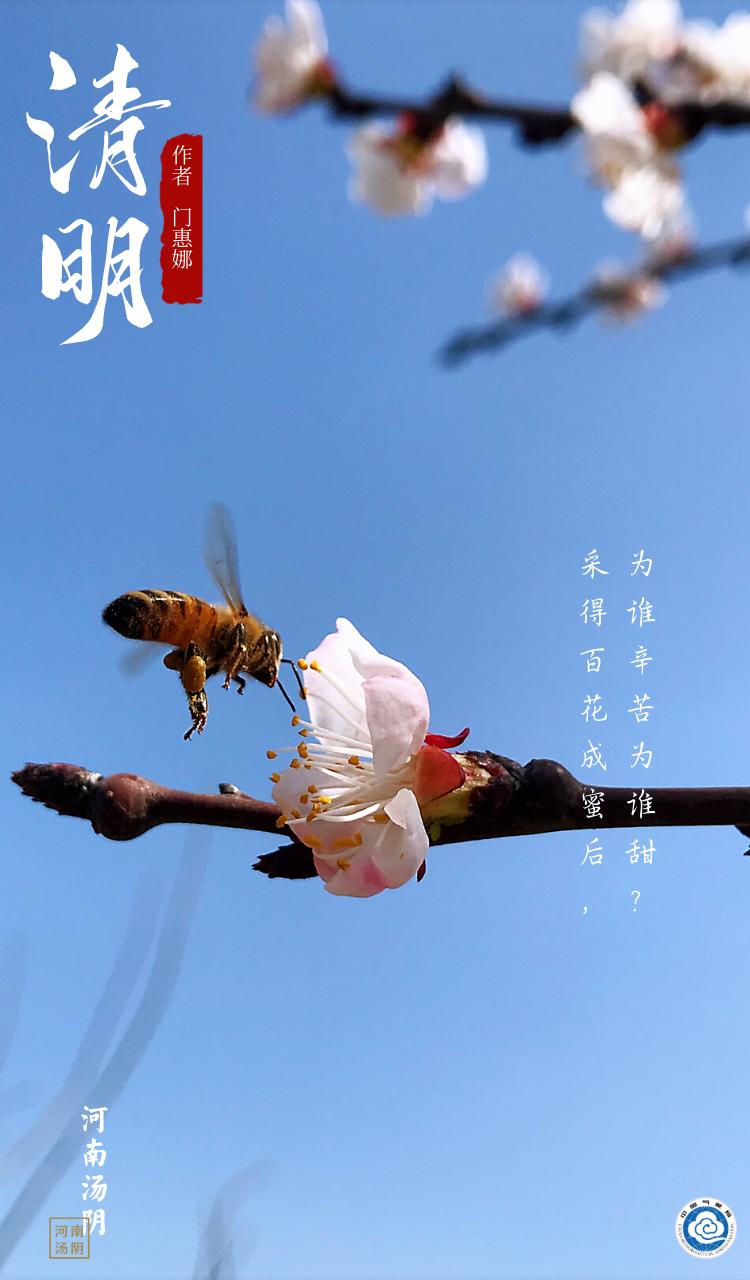 人间四月天,人间四月天完整版