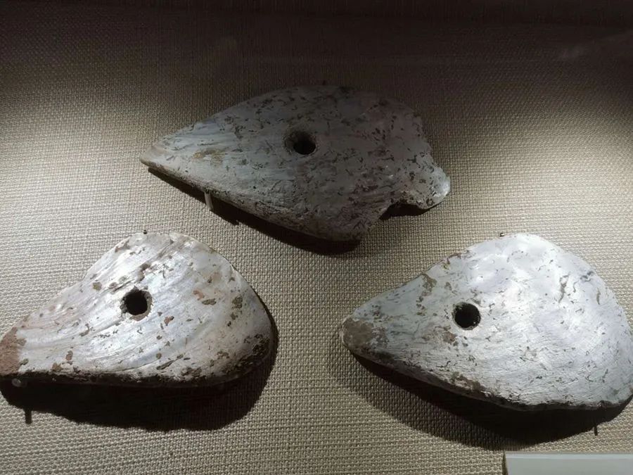 舌尖上的中国横县鱼生余师傅,舌尖上的美食之横县鱼生