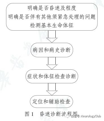昏迷的诊断思路与处理,昏迷诊断的流程图