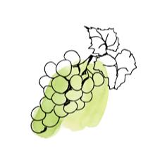 颜值高的洗护套装,国产洗护用品有哪些品牌