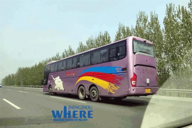 【双语】Zhengzhourecoversitsvigor“序”力郑州