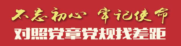 巡视巡察微党课,巡察机构党支部书记讲党课