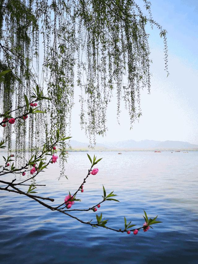 且听风吟看花开,且听风吟且看花开