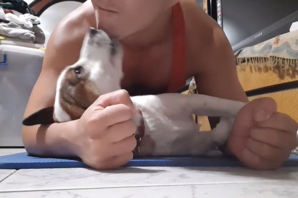 背心爸健身做棒式　底下萌妹一直亲