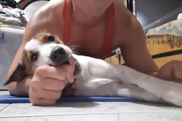 背心爸健身做棒式　底下萌妹一直亲