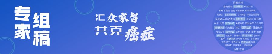 吴瑾教授组稿|刘文涛教授：晚期卵巢癌病例分享