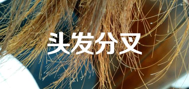 日本「变态级」干发帽，在家就能给头发做SPA