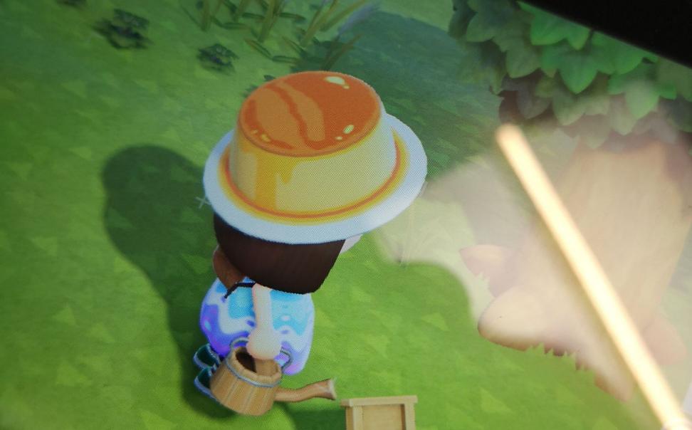 动森最赚钱的东西,动森发家致富