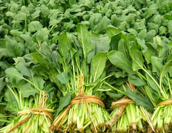 买回来樱桃如何在冰箱保鲜存放,樱桃怎样储存在冰箱里能保鲜多久