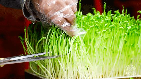 香天下4.8折券,49元抢100元优惠券