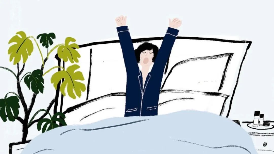 插画师入坑指南菜鸟逆袭,入坑电脑插画