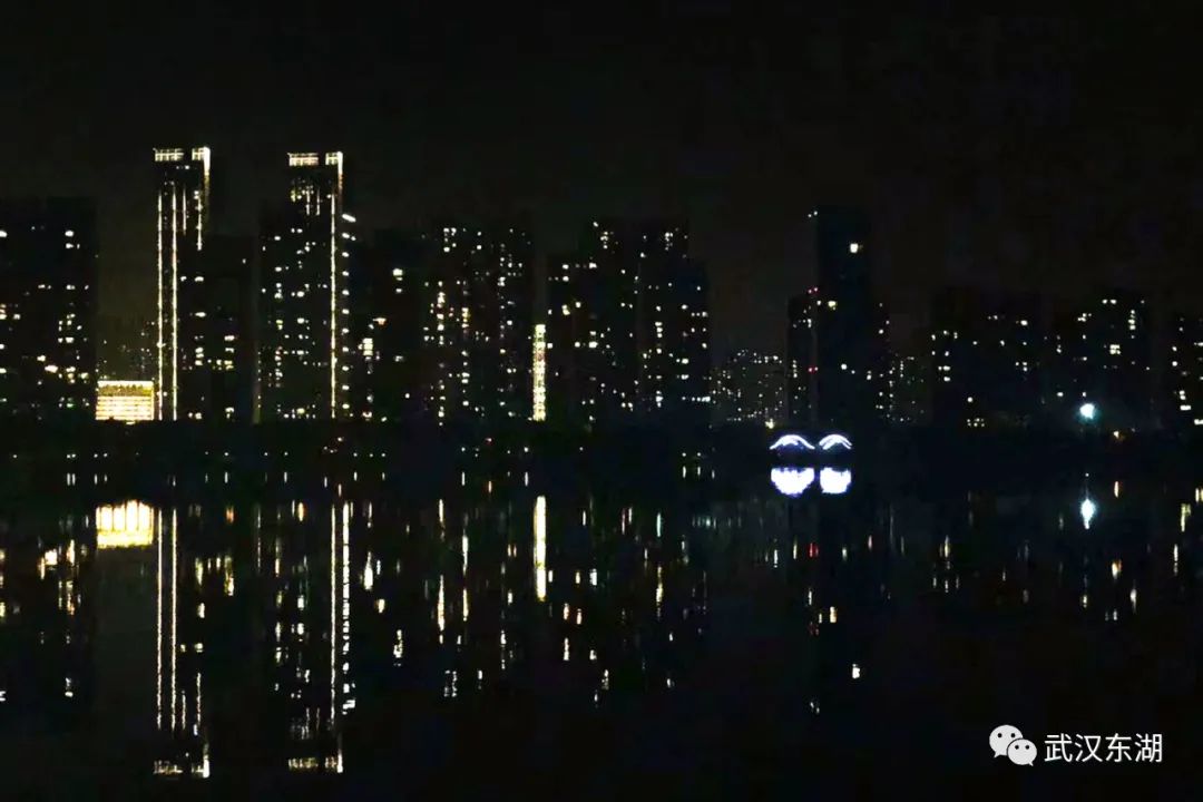 武汉解封后，我最先奔向了东湖