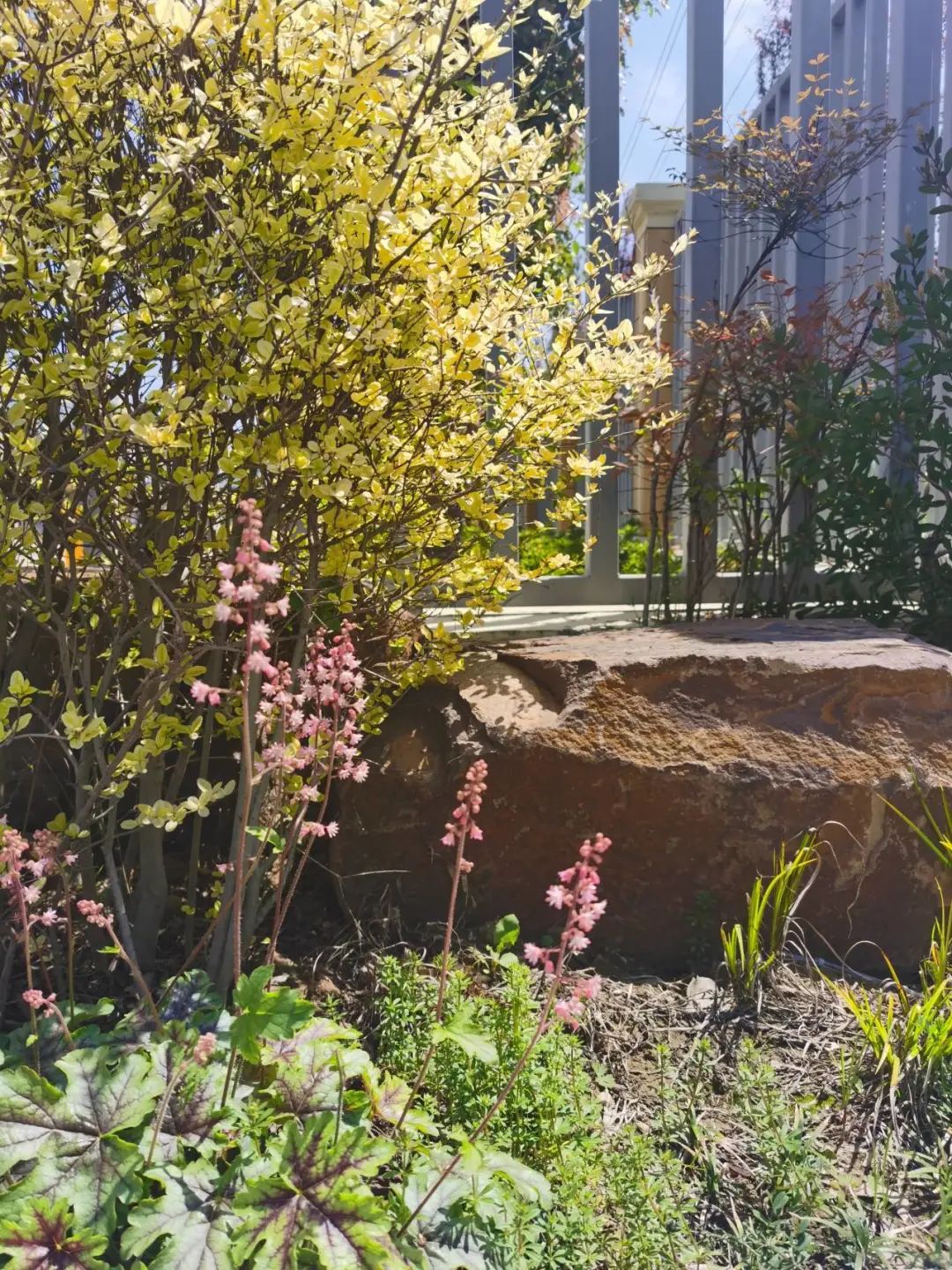 四月校园联谊,四月相聚