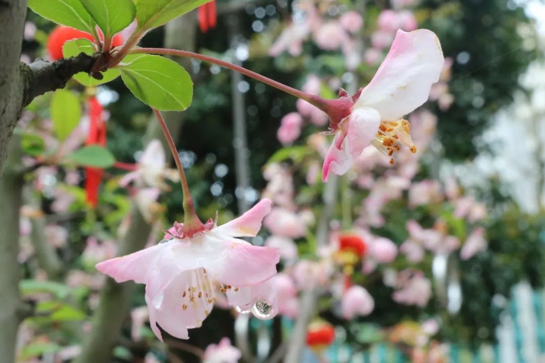 四月校园联谊,四月相聚