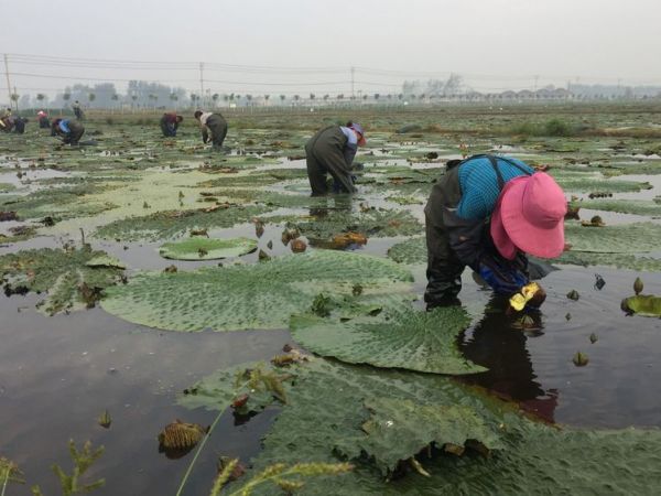 泗阳县县委书记叫什么名字,泗阳县县委书记叫什么