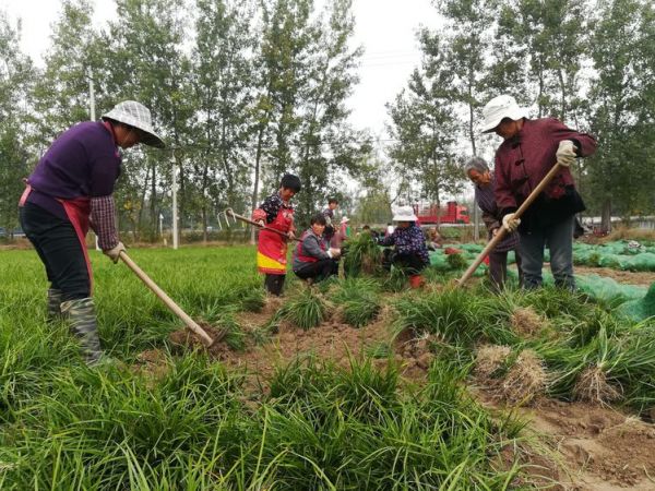 泗阳县县委书记叫什么名字,泗阳县县委书记叫什么