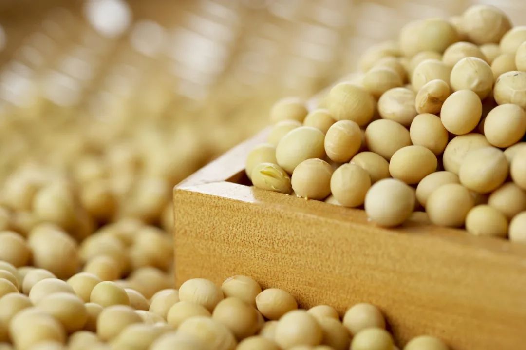 五谷是什么,五谷是什么粮食组成的