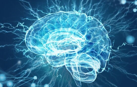 《自然》：成年脑细胞受到损伤时，会恢复到胚胎状态进行自我修复