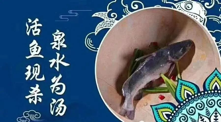 138元就能吃到蒸汽石锅鱼套餐,抚小鲜蒸汽石锅鱼团购套餐