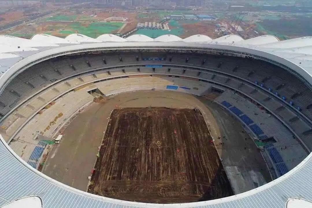 奥体热搜Top8,安安一次全回答~