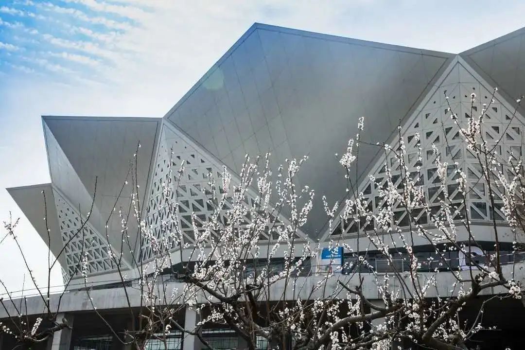 奥体热搜Top8，安安一次全回答～