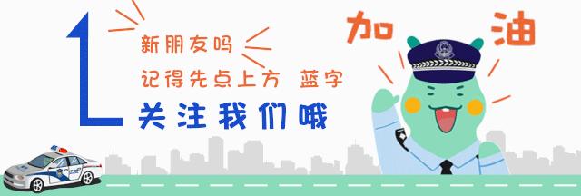 数据警务智慧警务民生警务,数据警务智慧公安