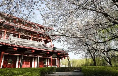 “游大唐，观始皇”只要368？这么香的价格没谁了