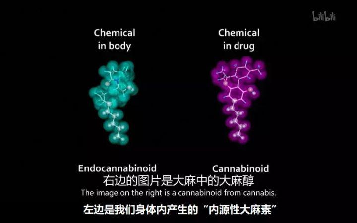 看了就想健身的小说,懒癌怎么锻炼最有效