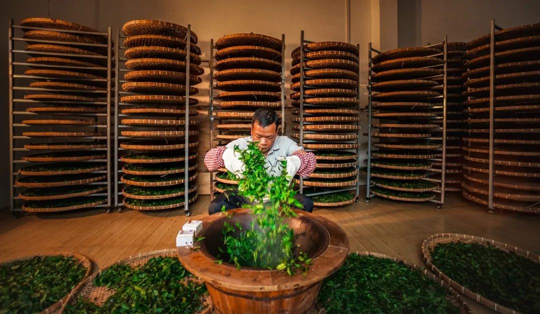 茶香禅韵入梦完整视频,世外桃源神仙度假地