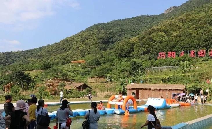 茶香禅韵入梦完整视频,世外桃源神仙度假地