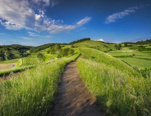 朋友圈卖东西的都是骗人的吗,朋友圈卖东西是骗子吗