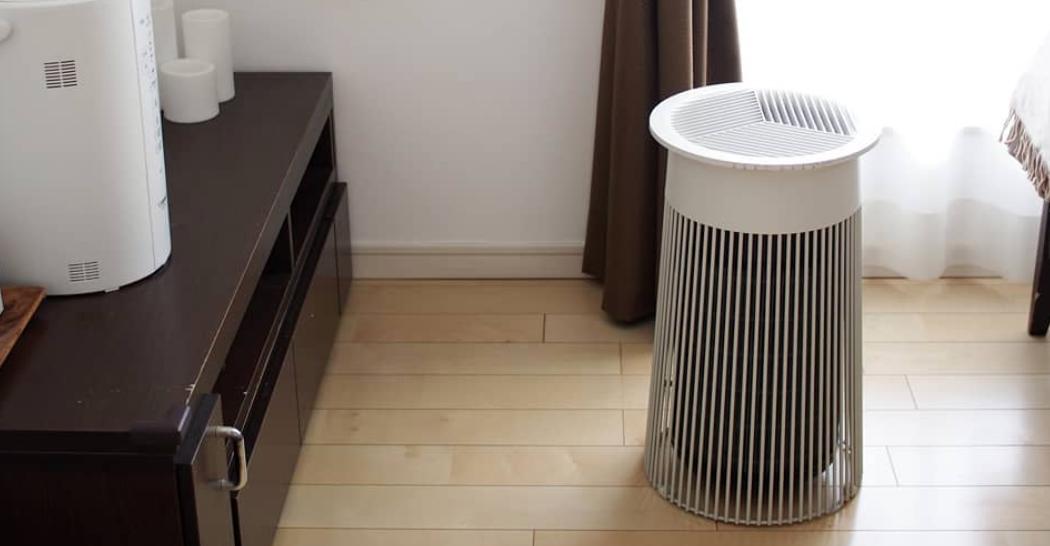 为什么房子里总有小毛毛,为什么房子里面会长蘑菇科学探究