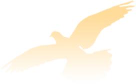 广东律师诈骗案直播,惩治网络犯罪检察案例