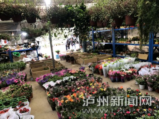 周边省市花商“弃蓉”来泸进货酒城“美丽经济”复苏