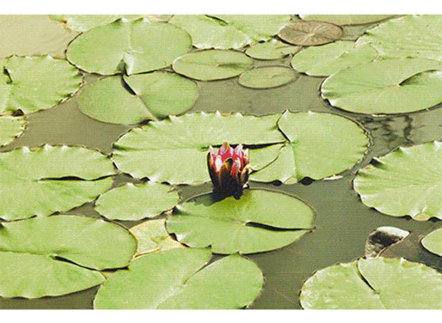 限时抢购||499元抢住浮生御度假村温泉住宿超值套餐