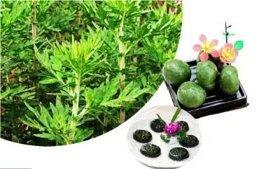 路边常见的野菜野草功效,野草野菜过了春季还能吃吗