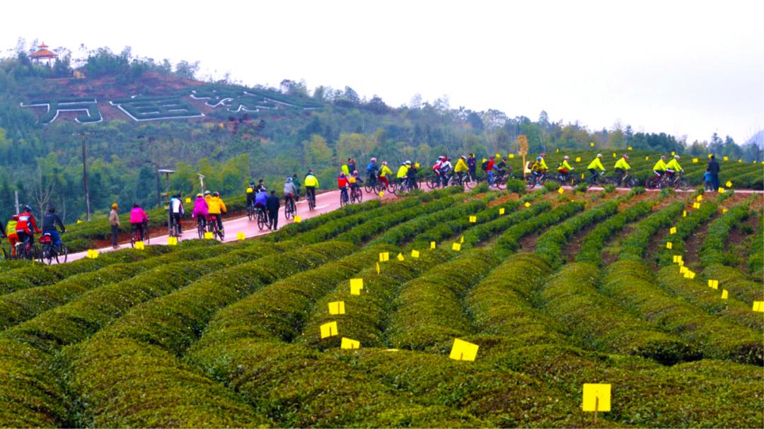 湖北最美环湖绿道徒步,十大最美绿道骑行