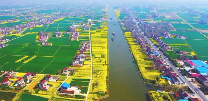 2024年农业产业强镇公示,2019年农业产业强镇建设名单