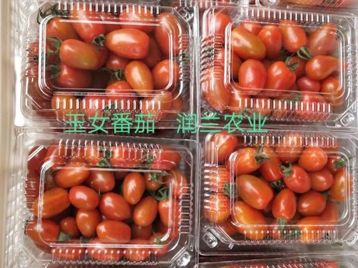 好吃到停不下来少女心爆棚,好吃到停不下来高颜值