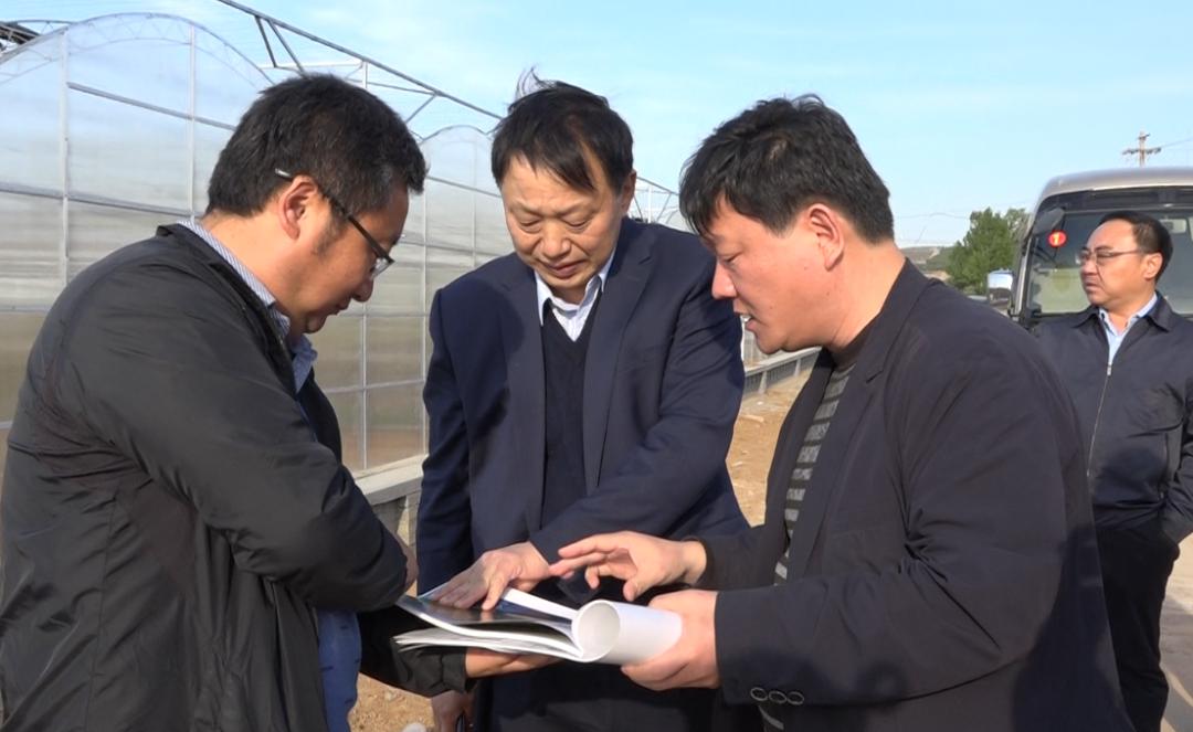 【桃园动态】中财华融国际金融集团到桃园镇实地考察调研