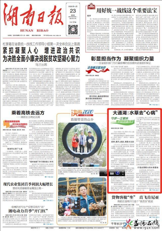 益阳连续两天登上湖南日报头版|大通湖：水草去“心病”